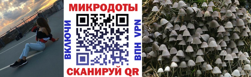 Галлюциногенные грибы прущие грибы  МЕГА вход  Староминская 