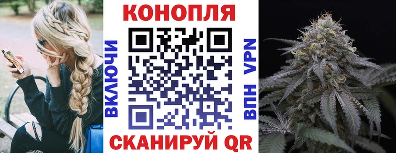мориарти официальный сайт  дарнет шоп  Староминская  Бошки марихуана Ganja  кракен ТОР 
